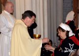 2013 Lourdes Pilgrimage - MONDAY Mass Upper Basilica (16/24)